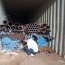 Thép ống Đúc D16 - D 610